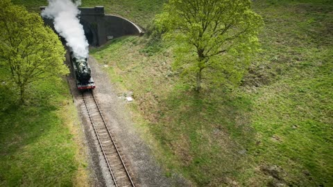 The Baboon That Controlled a Railway for 9 Years