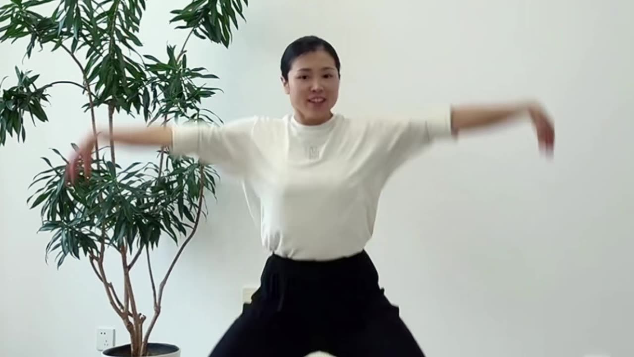 722.雁飛新功法