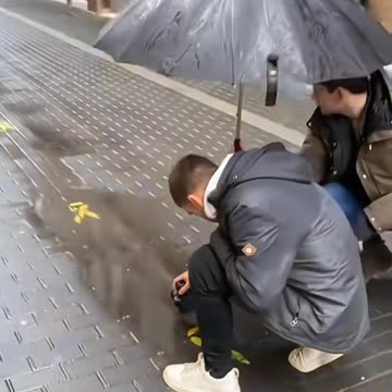 Poetry through the lens. The asthetic pursuit of art photoshoot tricks