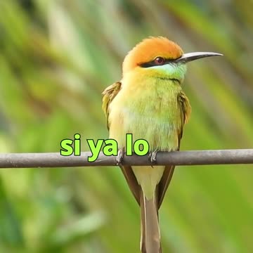 😊 159 LO QUE AGRADECES, SE MULTIPLICA 😊