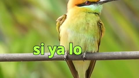 😊 159 LO QUE AGRADECES, SE MULTIPLICA 😊