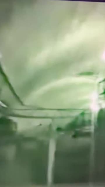 A video was just posted from the Epstein files showing a large system of underground tunnels