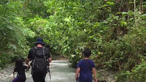 🌿 A Peaceful Walk Beyond the Farm 🚶‍♂️🇵🇭