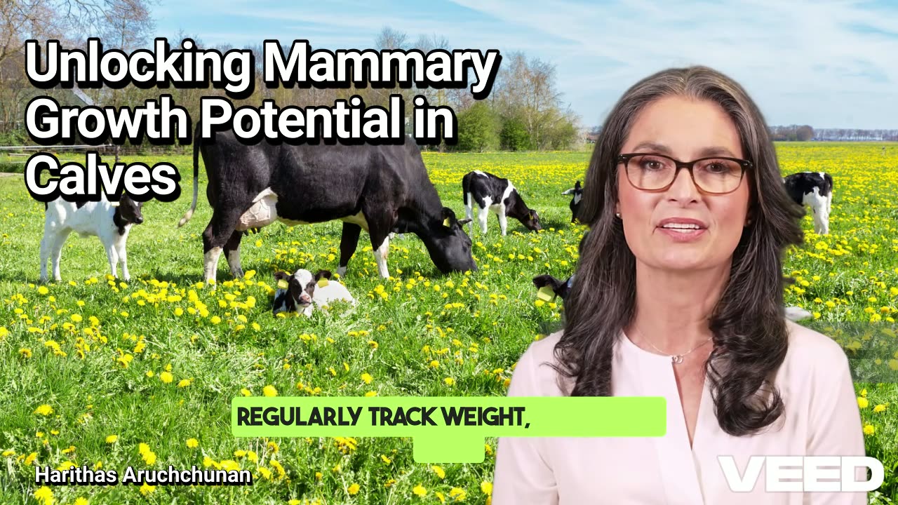Unlocking Mammary Growth Potential in Calves