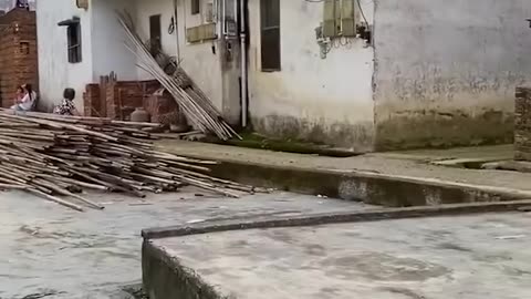 Try Not To Laugh Funny Videos - Let me teach you a lesson!