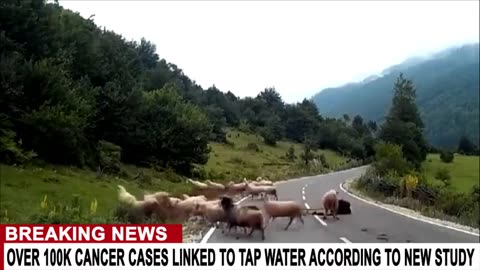 100K CANCER CASES LINKED TO TAP WATER EVERY YEAR: FROM THE STFN ARCHIVES