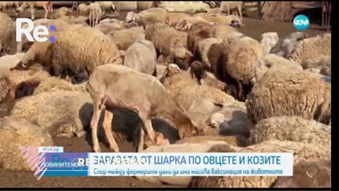 #Новини #NEWS #LIVEhighlights #TikTokLIVE #LIVE #BulgariaNews