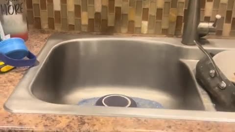 😂💦 The Funniest Way to Unclog a Sink! | FunFM