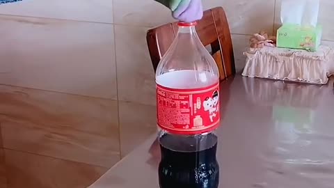 New funny video 2025