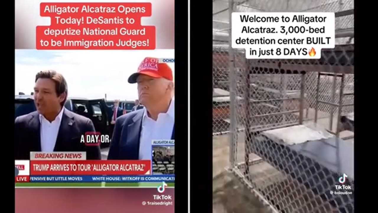 Alligator Alcatraz ..