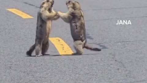 Road attack