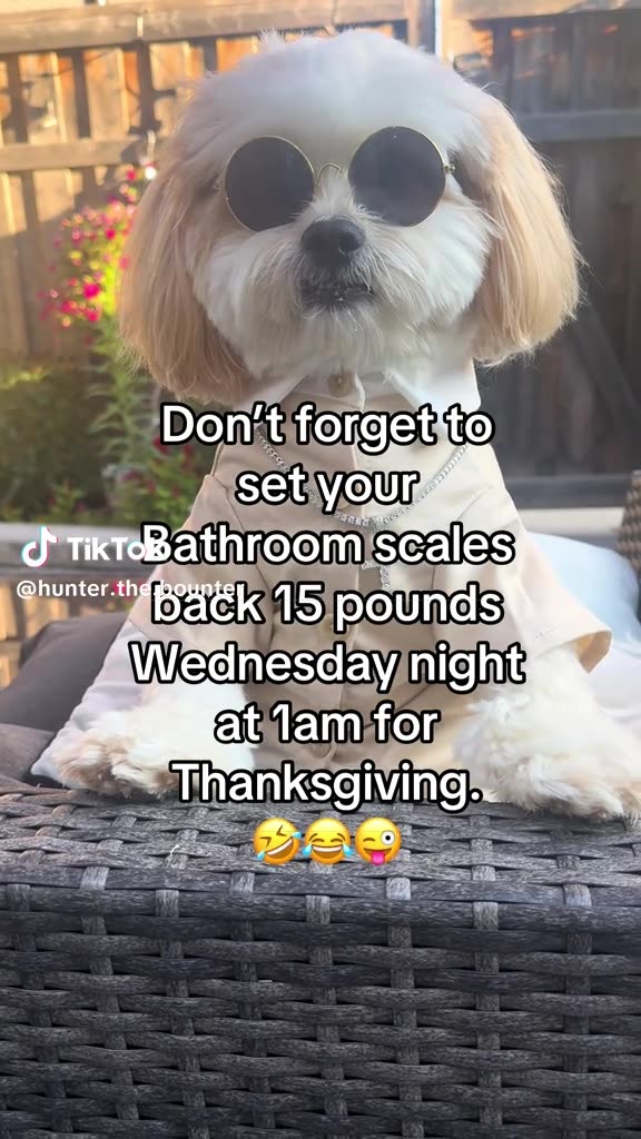 WISECRACKING 😝THURSDAY 11/27/25