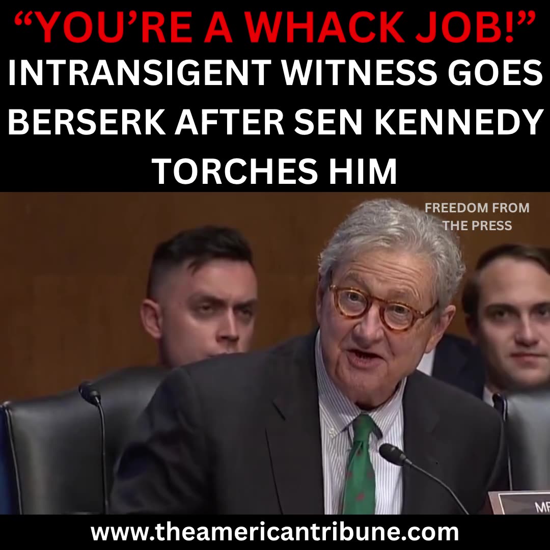 Dem Witness Has Raging Meltdown After Americas Funniest Senator Calls Him A Whack Job