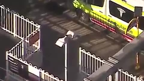 Emergency as train collides with truck, QLD. 7NEWS Australia