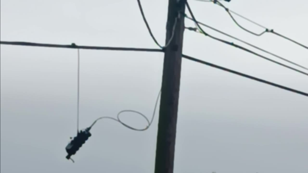 Crows on the wire