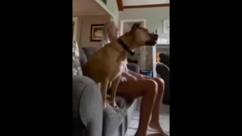 Funny Scary Animal Encounters