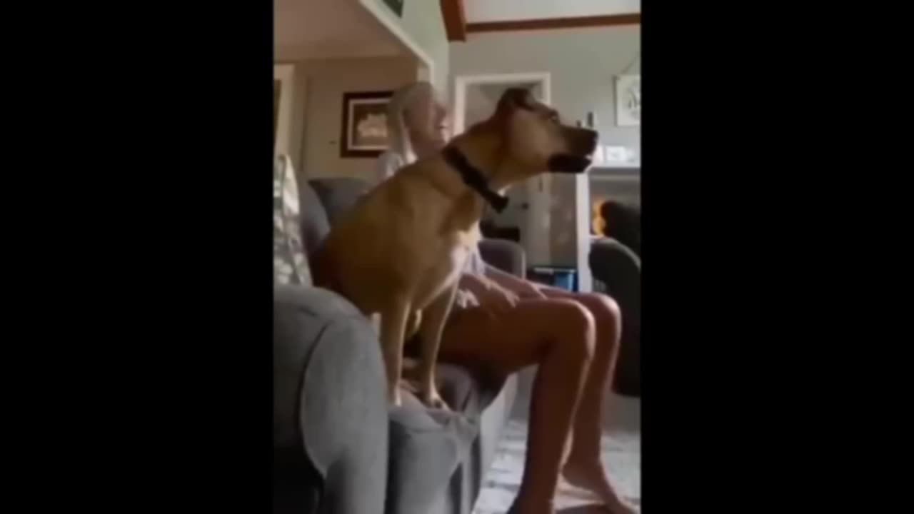 Funny Scary Animal Encounters