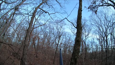Sugar Creek Squirrel Hunting With A Ruger 10/22