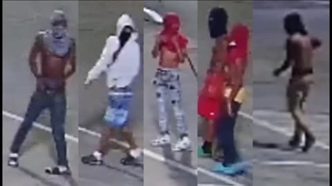 Useless Black Teens Carjacking Citizens in Houston