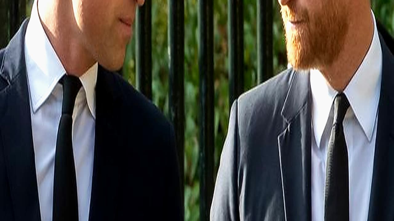 Prince William Reunion with Prince Harry in Balan