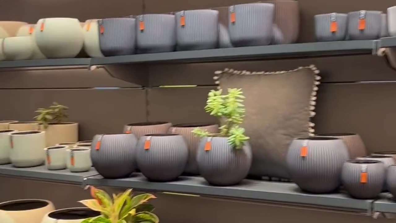 Buy Pots and Planters Online to Elevate Every Corner