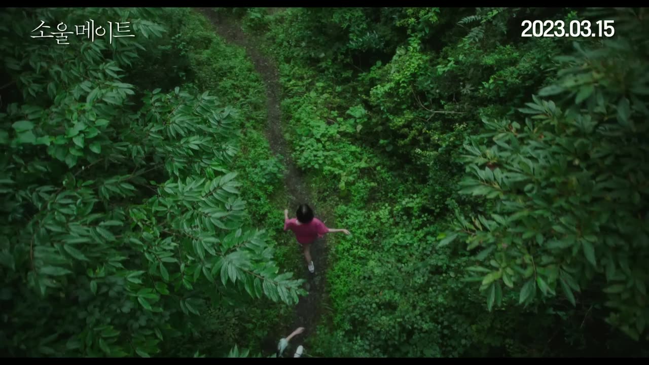 소울메이트 (2023 film)