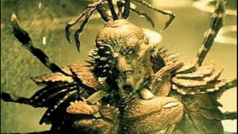 TERRESTRIAL FILES 16