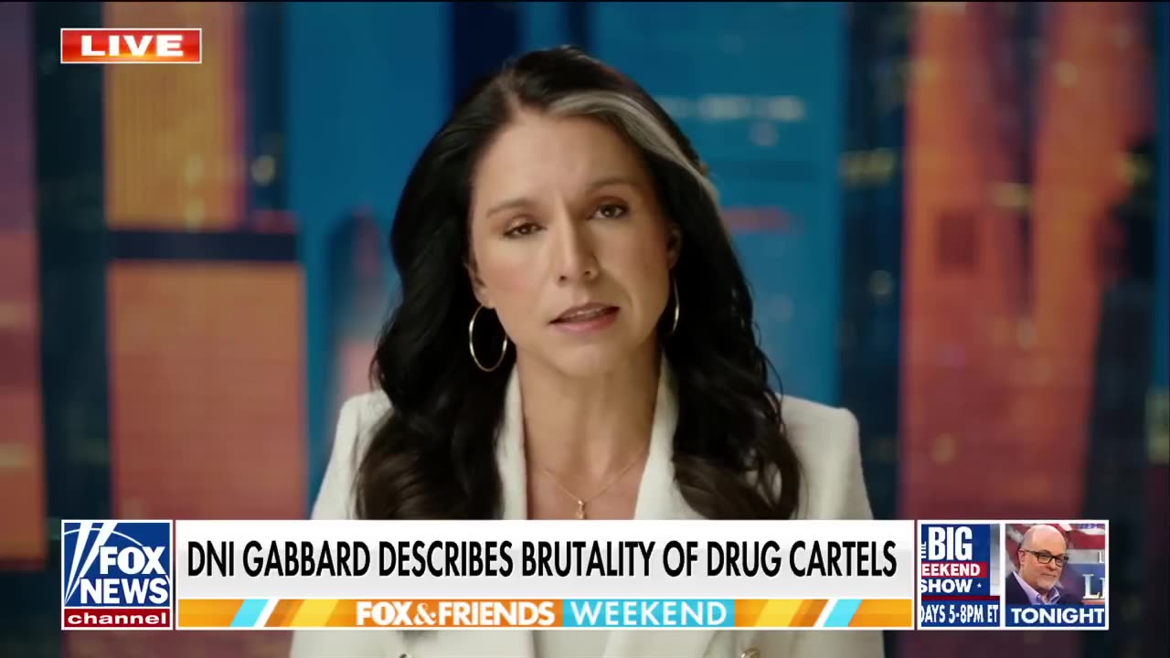 Tulsi Gabbard issues warning_ Trump is 'NOT MESSING AROUND'
