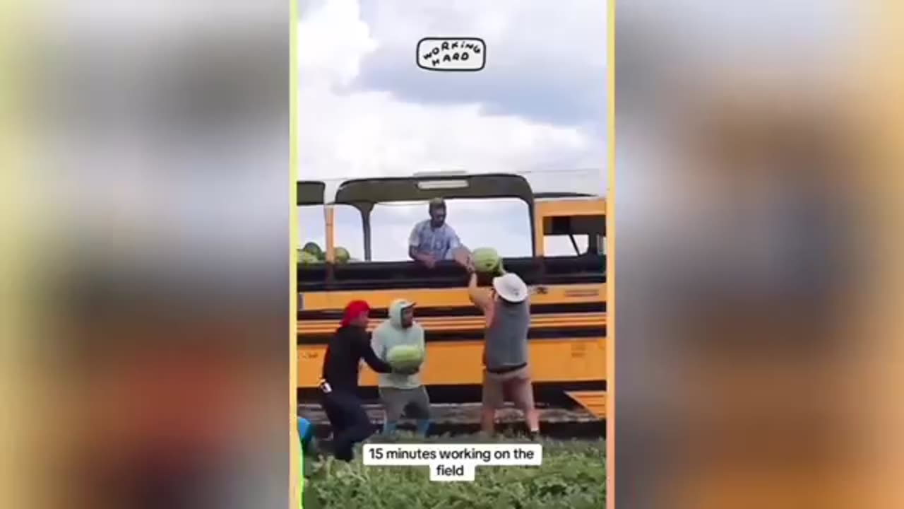 MAGA Farmers Are About To Face a Harsh Wake Up Call