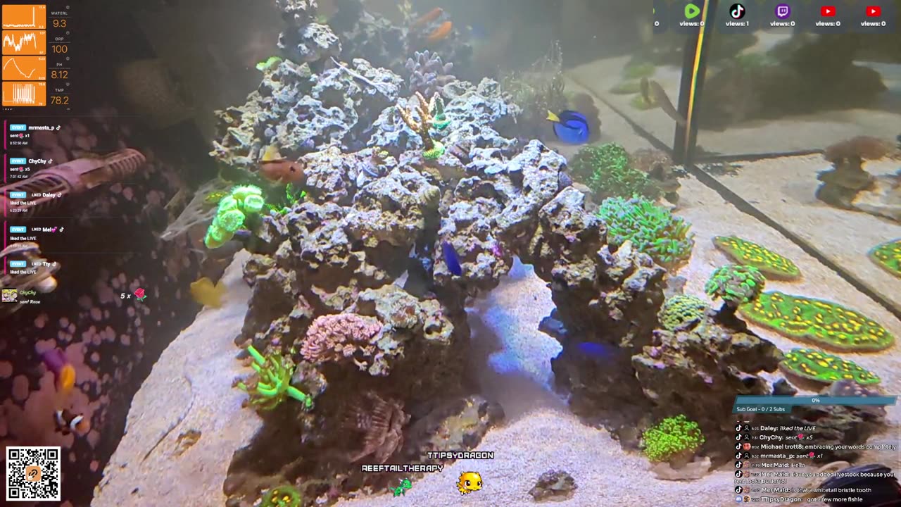 24/7 Real Live Reef Stream