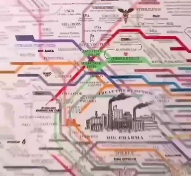 WATCH 👀 How they took over the medical system - Reloaded from Julian Assange