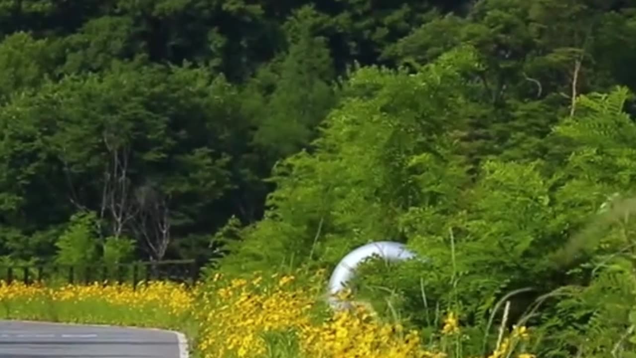 😊 84 LO QUE IMAGINAS CON AMOR... ES… 😊