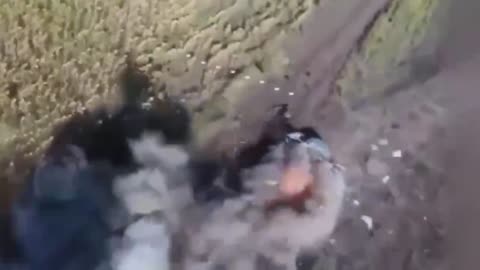 🤬 The FPV drone barely manages to hit the Russian Molniya drone, but in the end it captures