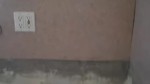 Ok Gang, lets get a game plan for Leroys New Place. shea show