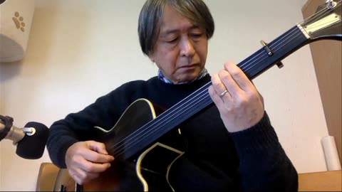 After The Goldrush: archtop fretless guitar solo 2024