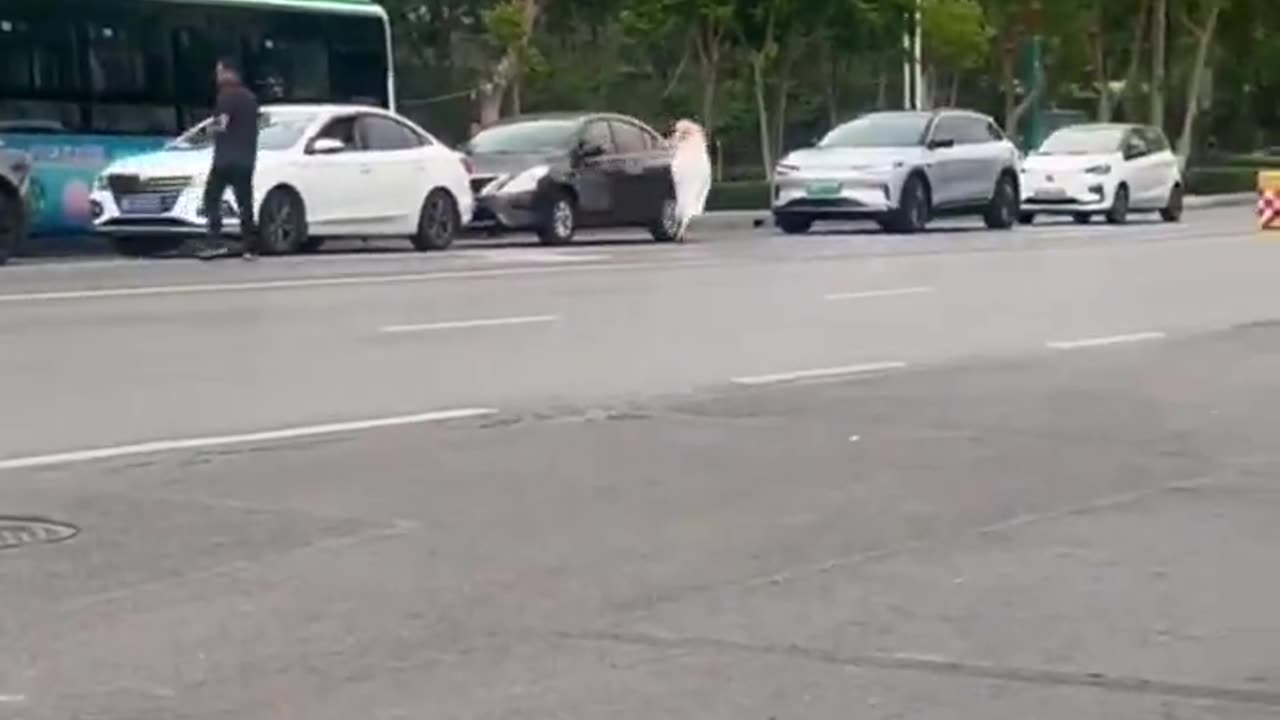 GTA ...... in real life