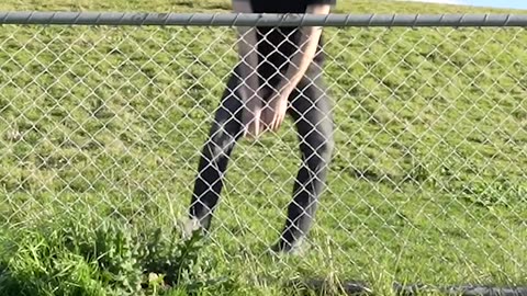 How animals get over a fence(with emoji) 😊