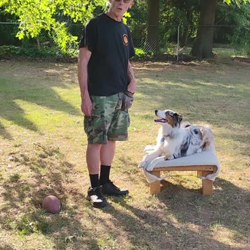 Structured Play Games Training and Practice short a