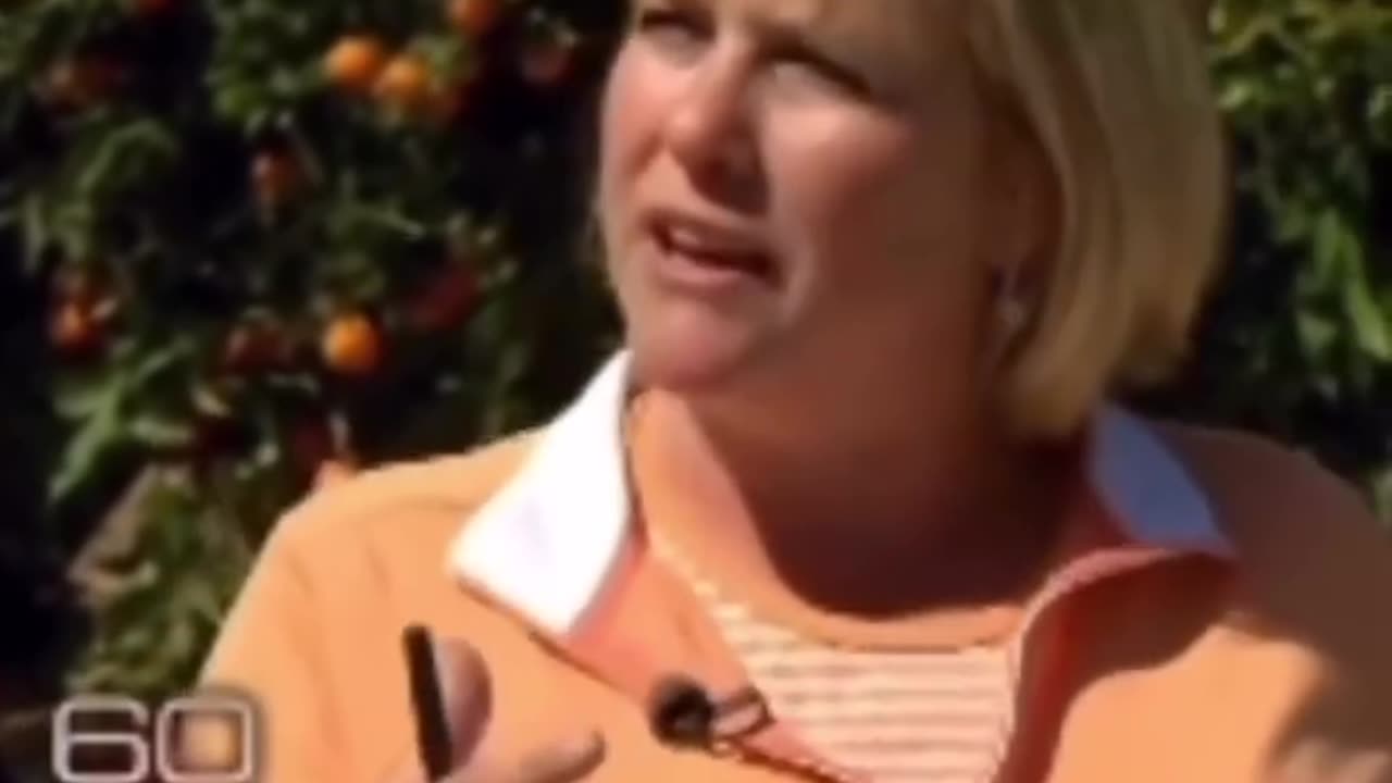 This video reveals how food is engineered to make it addictive