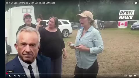Outrage! Trudeau’s Canada Orders Mass Killing of Innocent Birds—WHY?!