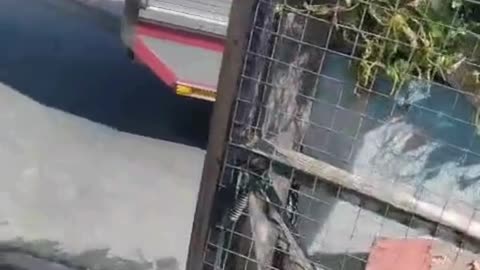 Another fire wreaks havoc in IY