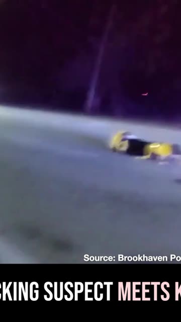 Carjacking Suspect Meets K9 Voex