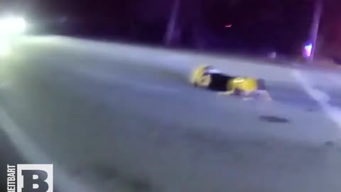 Carjacking Suspect Meets K9 Voex