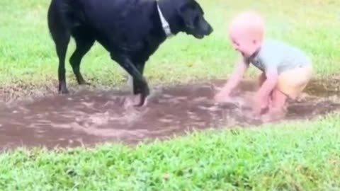 😂🐶 A Dog Teaches a Human Puppy to Play in Puddles! | FunFM