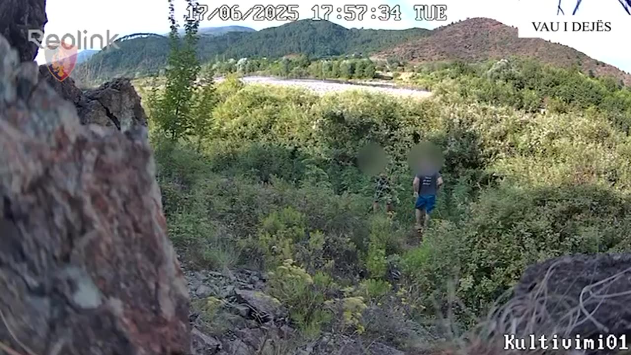 Kapet 27-vjeçari për kultivim kanabisi, procedohet babai për armëmbajtje pa leje