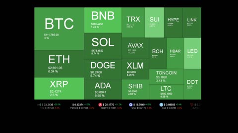 Live Coin Price Watch!