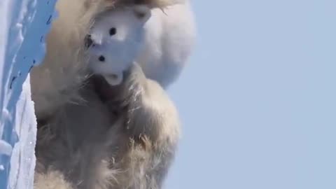 Mother's love 😘