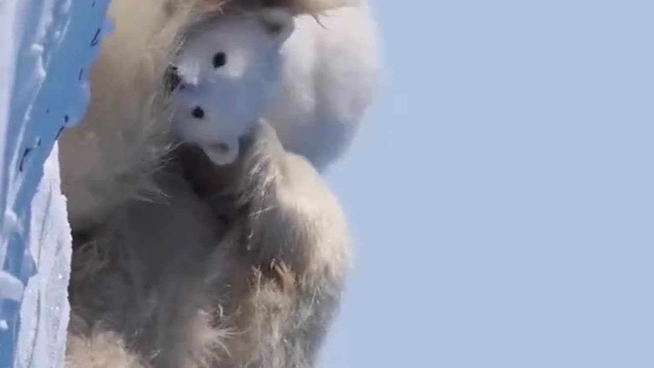 Mother's love 😘