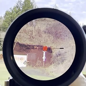 静音杠杆动作步枪_ Woox Bravado #国外合法拍摄国内请勿模仿 #武器科普 #实弹射击 #男人减速带 #靶场射击