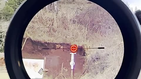 静音杠杆动作步枪_ Woox Bravado #国外合法拍摄国内请勿模仿 #武器科普 #实弹射击 #男人减速带 #靶场射击